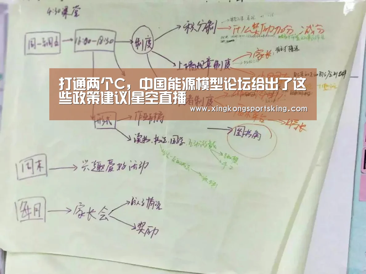 打通两个C,中国能源模型论坛给出了这些政策建议|星空直播