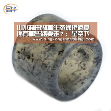 山水林田湖草生态保护修复还有哪些路要走?:星空下载