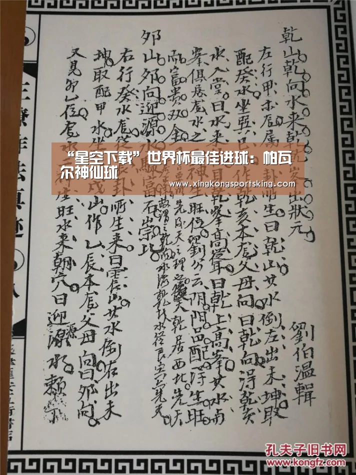 “星空下载”世界杯最佳进球:帕瓦尔神仙球(图2) 星空官网