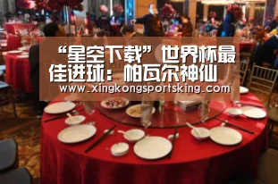 “星空下载”世界杯最佳进球:帕瓦尔神仙球(图3) 星空下载