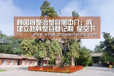 韩国将整治整容黑中介:或建立赴韩整容登记制_星空下载