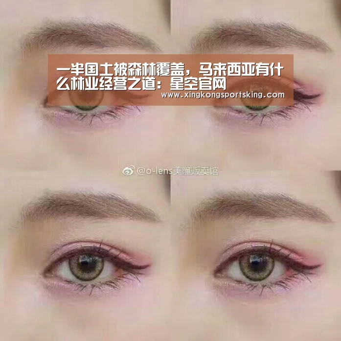一半国土被森林覆盖,马来西亚有什么林业经营之道:星空官网(图1) 星空官网