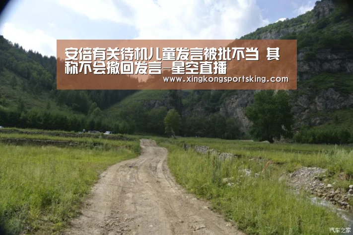 安倍有关待机儿童发言被批不当 其称不会撤回发言-星空直播(图4) 星空直播